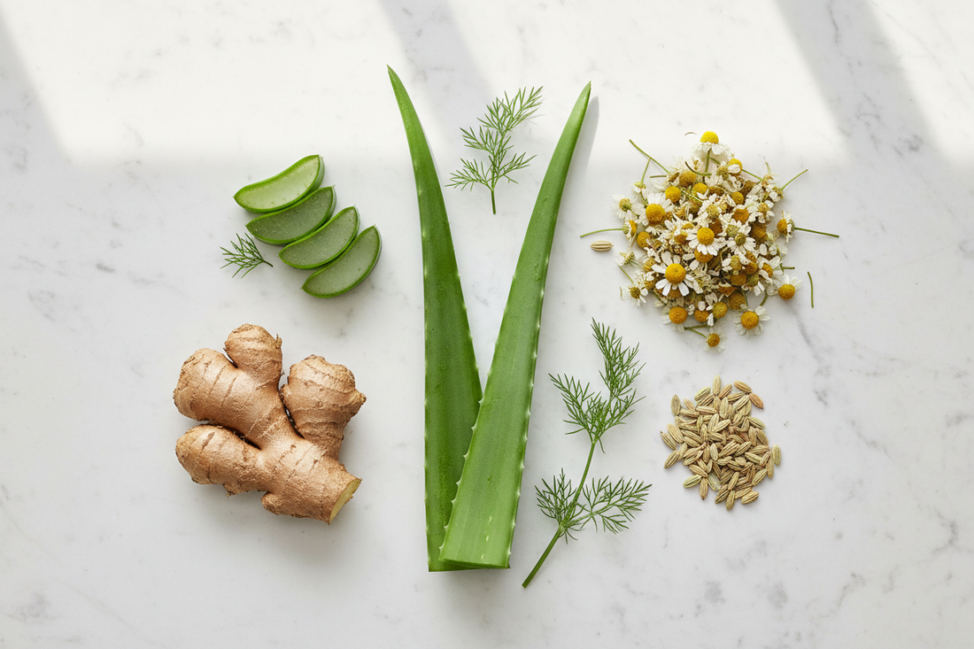Fitoterapia, psicosomatica e approccio integrato ai disturbi digestivi funzionali: il ruolo centrale dell’aloe nel dialogo intestino–cervello