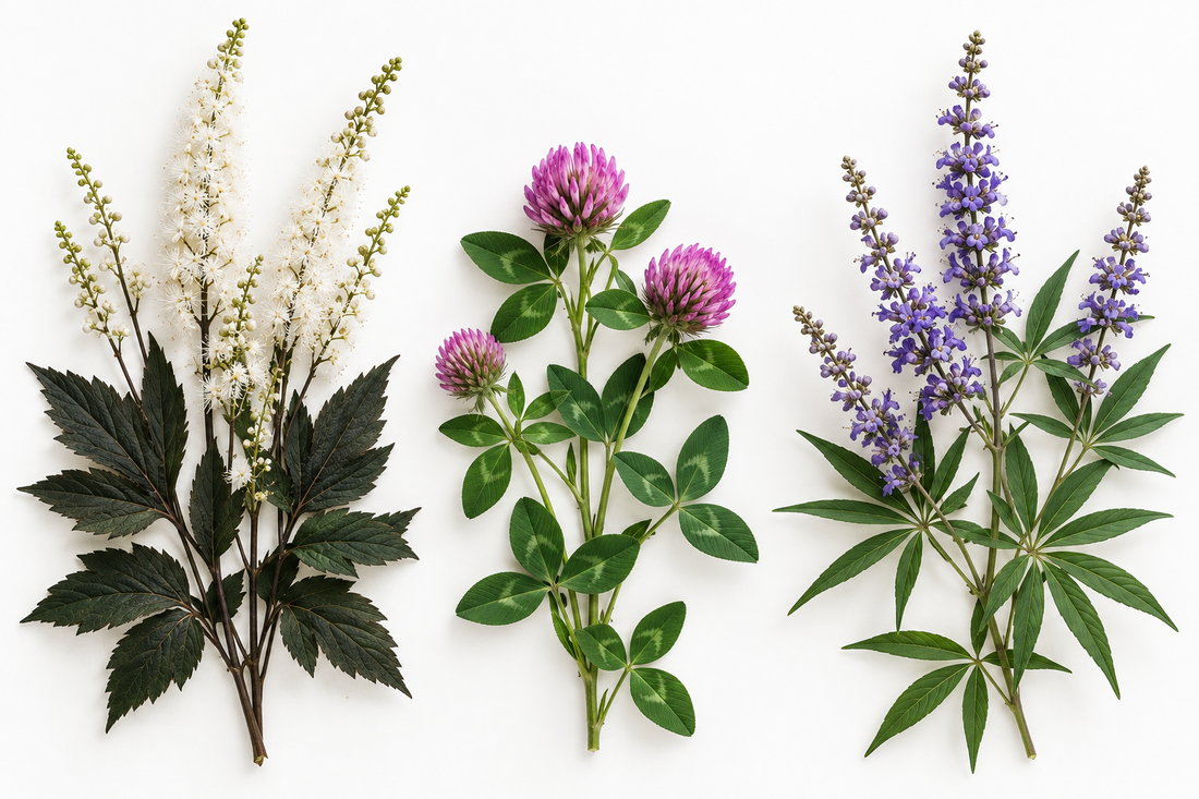 Benessere in premenopausa e menopausa: il supporto della fitoterapia scientifica